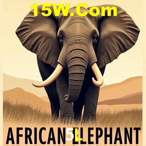 Apostas de Tênis 5L